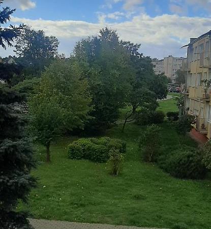 Апартаменты Flowers Apartament Пила Экстерьер фото