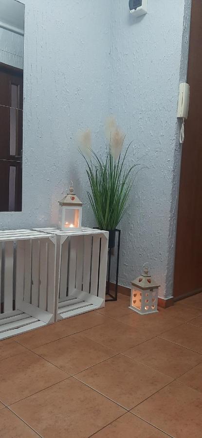 Апартаменты Flowers Apartament Пила Экстерьер фото