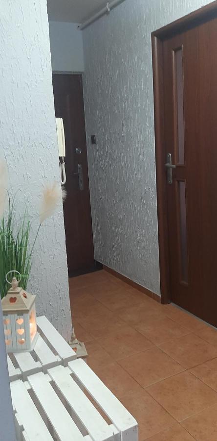 Апартаменты Flowers Apartament Пила Экстерьер фото